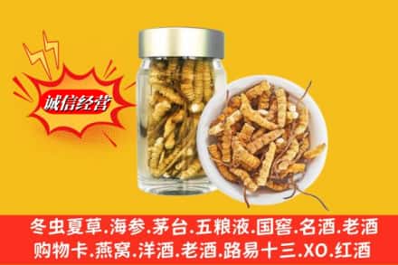咸阳彬州市名酒回收散虫草.jpg