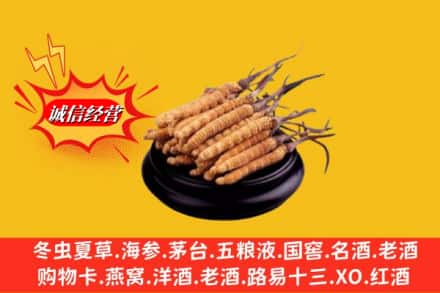 咸阳彬州市名酒回收冬虫夏草.jpg